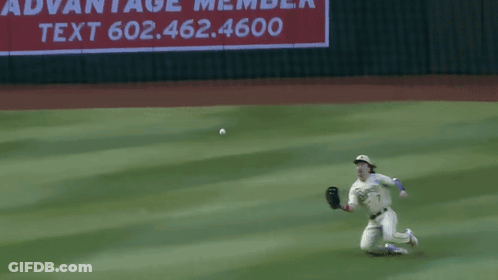 Baseball Player Catching Ball Near Advantage Member Ad GIF