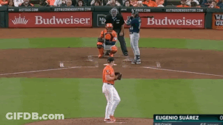 Baseball Player Celebrating With Letter A On Jersey GIF