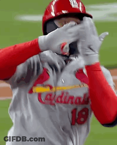 Baseball Player Covering Face GIF