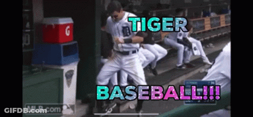 Baseball Player Dancing In Dugout Tiger Baseball GIF