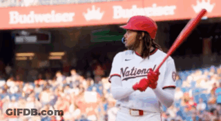 Baseball Player Holding Bat GIF