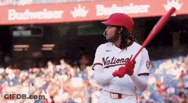 Baseball Player Holding Bat GIF