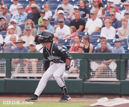 Baseball Player In Black And White Striped Uniform Rays GIF