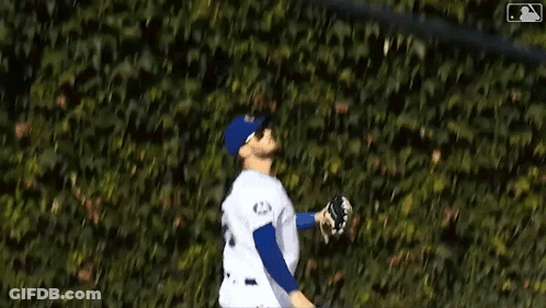 Baseball Player In Blue And White Uniform At Brick Wall GIF
