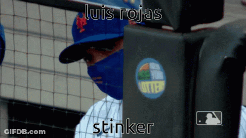 Baseball Player In Blue Mask And Luis Rojas Hat GIF