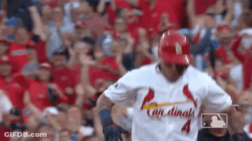 Baseball Player In Cardinals Jersey Before Crowd GIF