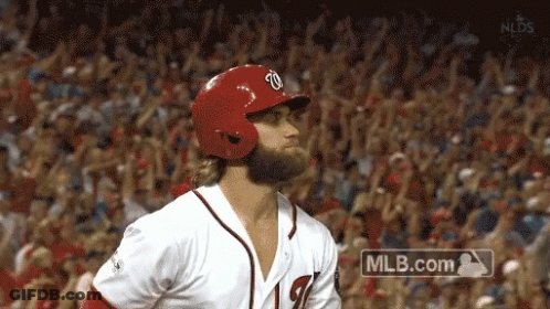Baseball Player In Front Of Crowd GIF