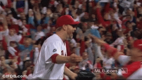Baseball Player In Front Of Crowd GIF