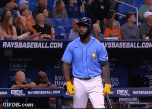 Baseball Player In Front Of Rays Banner GIF