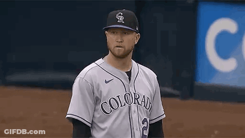 Baseball Player In Hat And Jersey On Field GIF