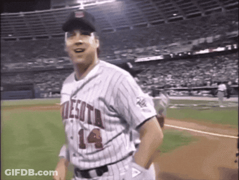 Baseball Player In Minnesota Jersey GIF