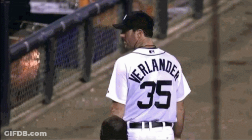 Baseball Player In Number 35 Jersey GIF