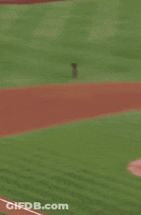 Baseball Player In Padres Jersey GIF