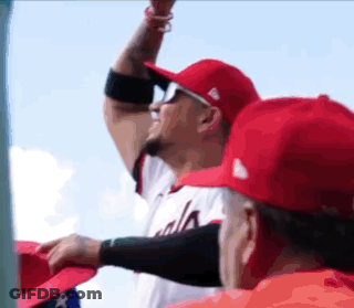 Baseball Player In Red Hat Cheers GIF