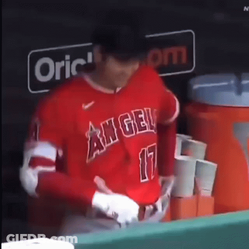 Baseball Player In Red Jersey Number 17 GIF
