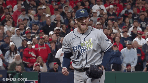 Baseball Player In Tampa Bay Jersey Celebrates GIF