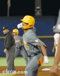 Baseball Player In Yellow Helmet Number 21 GIF