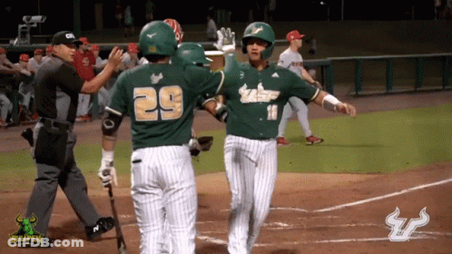Baseball Player Number 29 On Shirt GIF