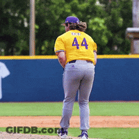Baseball Player Number 44 GIF