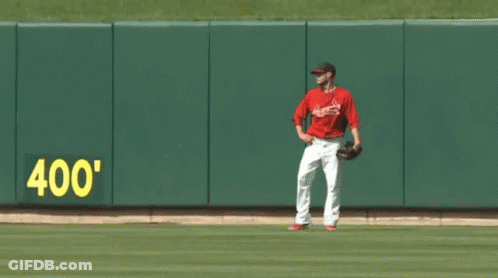 Baseball Player On Field GIF