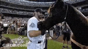 Baseball Player Petting Horse On Field GIF
