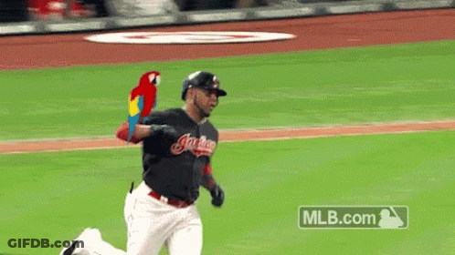 Baseball Player Running With Parrot MLB.com GIF
