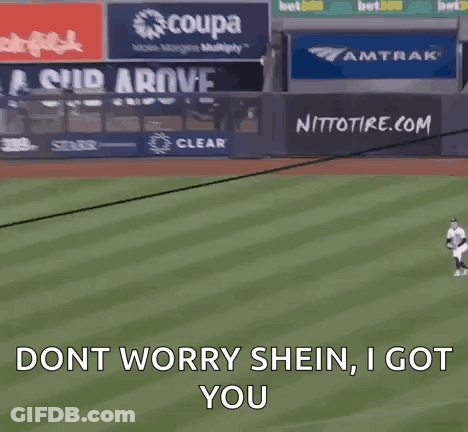 Baseball Player Saying Dont Worry Shein I Got You Throwing Ball GIF