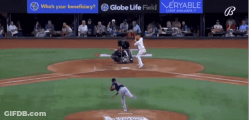 Baseball Player Standing In Front Of Crowd GIF