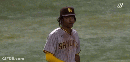 Baseball Player Standing On Field GIF