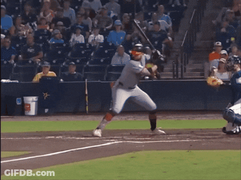 Baseball Player Swinging At Pitch With True Sign GIF