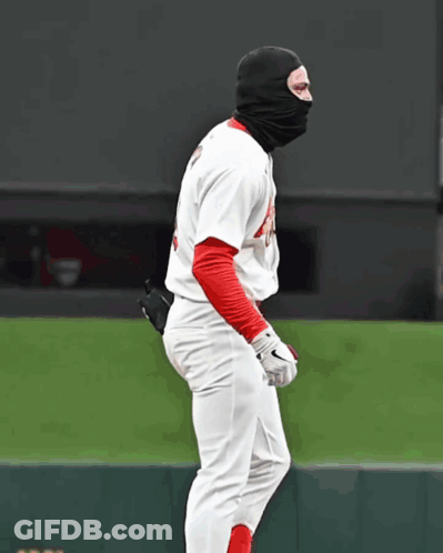 Baseball Player Wearing Mask And Gloves GIF
