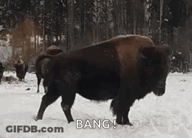 Baseball Player Wearing Texas Jersey GIF