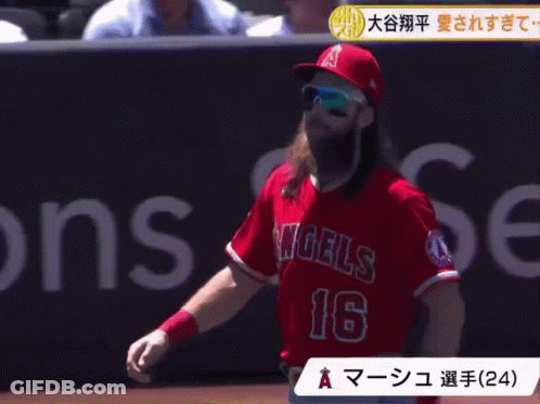 Baseball Player With Beard In Number 16 Jersey GIF