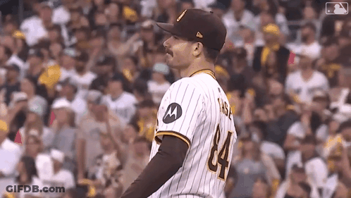 Baseball Player With Mustache 84 In Front Of Crowd GIF