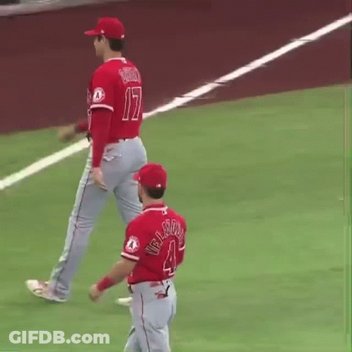 Baseball Player With Number 17 On Back Of Shirt GIF