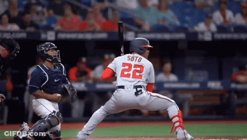 Baseball Player With Soto On Back GIF