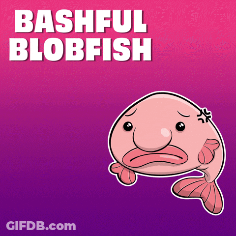 Bashful Blobfish GIF