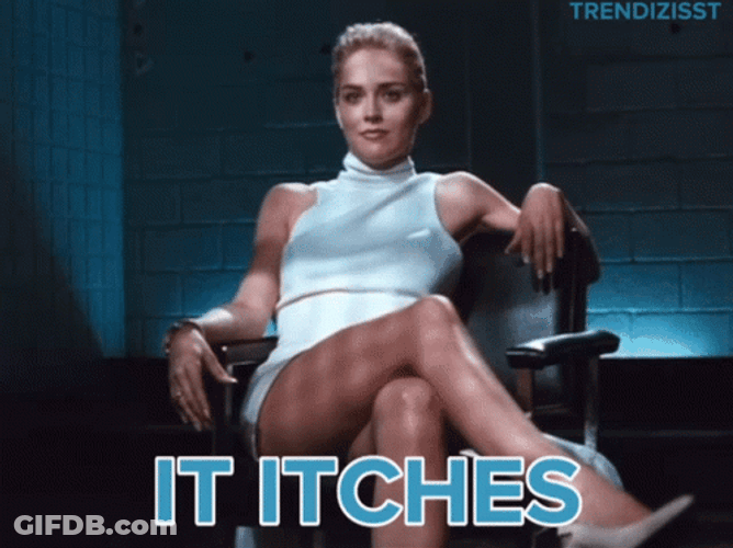 Basic Instinct It Itches Sharon Stone GIF