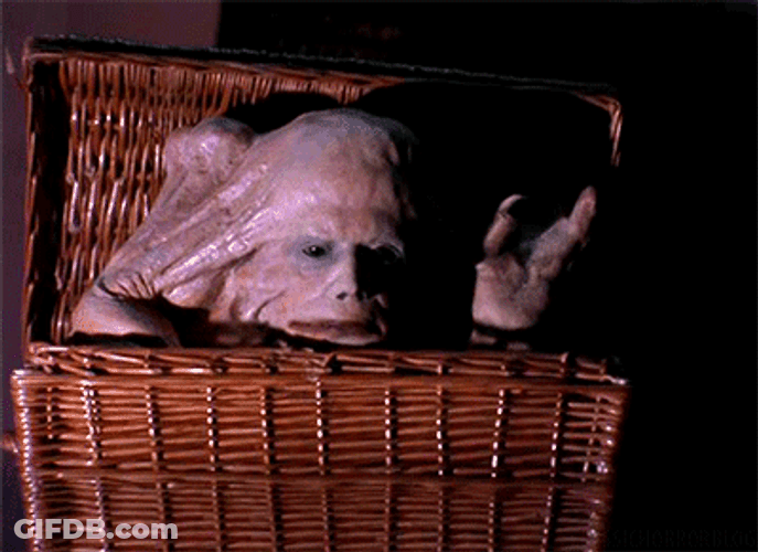 Basket Case Tell Me More GIF