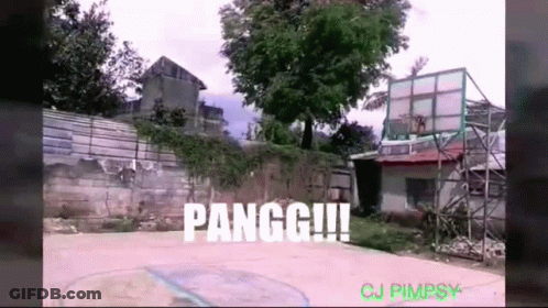 Basketball Court With Pangg GIF