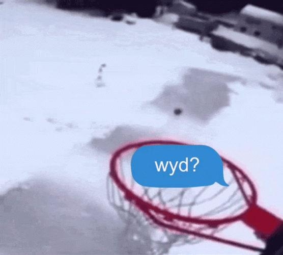 Basketball Dunk Wyd GIF