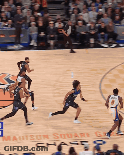 Basketball Game At Madison Square Chase GIF