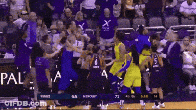 Basketball Game Between The Wings And The Mercury GIF