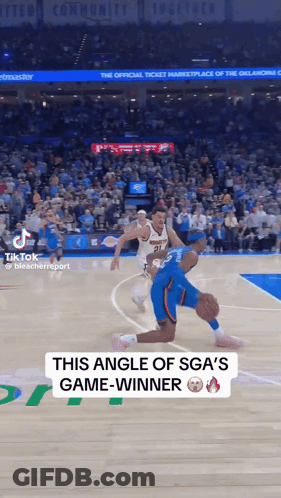 Basketball Game Crowd TikTok Game Winner Angle GIF