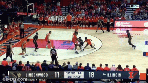 Basketball Game Lindenwood Vs Illinois GIF