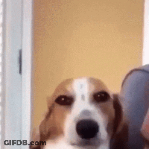 Basketball Game On Knicks Court GIF