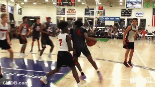 Basketball Game On Paws Court GIF