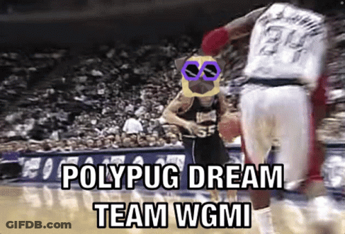 Basketball Game Polypug Dream Team Wgmi GIF