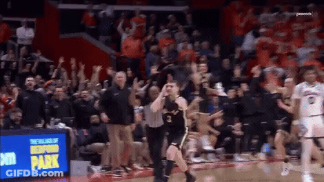 Basketball Game With Crowd And Peacock Logo GIF