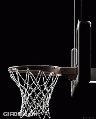 Basketball Going Through Hoop Middlechildswag GIF
